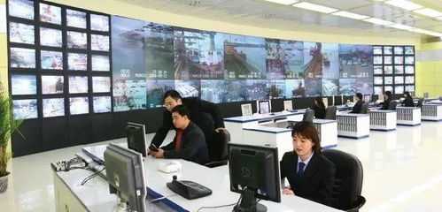 專業(yè)群巡禮 青島港灣職業(yè)學(xué)院信息技術(shù)專業(yè)群，信息技術(shù)咨詢服務(wù)探析