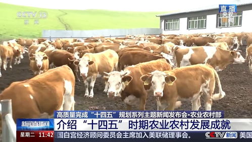 十四五時(shí)期畜牧漁業(yè)飼料銷(xiāo)售 三大關(guān)鍵詞看變革與成效