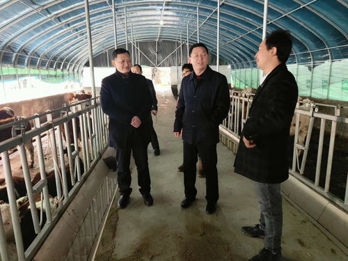 市農(nóng)業(yè)農(nóng)村局深入紫陽(yáng)縣調(diào)研畜牧漁業(yè)高質(zhì)量發(fā)展工作 聚焦飼料銷(xiāo)售環(huán)節(jié)強(qiáng)鏈補(bǔ)鏈